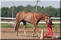 4H-3rd-09_0175.jpg