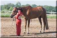 4H-3rd-09_0180.jpg