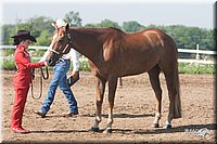 4H-3rd-09_0182.jpg
