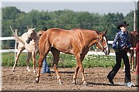 4H-3rd-09_0195.jpg