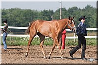 4H-3rd-09_0196.jpg