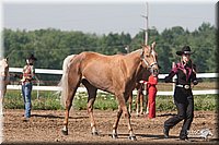 4H-3rd-09_0203.jpg