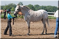 4H-3rd-09_0231.jpg