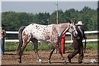 4H-3rd-09_0243.jpg