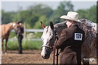 4H-3rd-09_0248.jpg