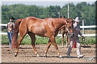 4H-3rd-09_0251.jpg