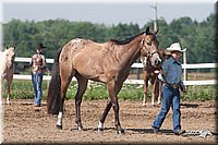 4H-3rd-09_0265.jpg