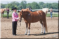 4H-3rd-09_0278.jpg