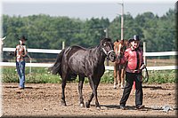 4H-3rd-09_0281.jpg