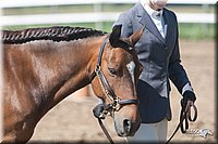 4H-3rd-09_0300.jpg