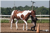 4H-3rd-09_0306.jpg