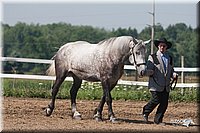 4H-3rd-09_0311.jpg