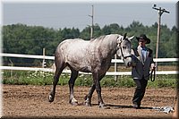4H-3rd-09_0312.jpg