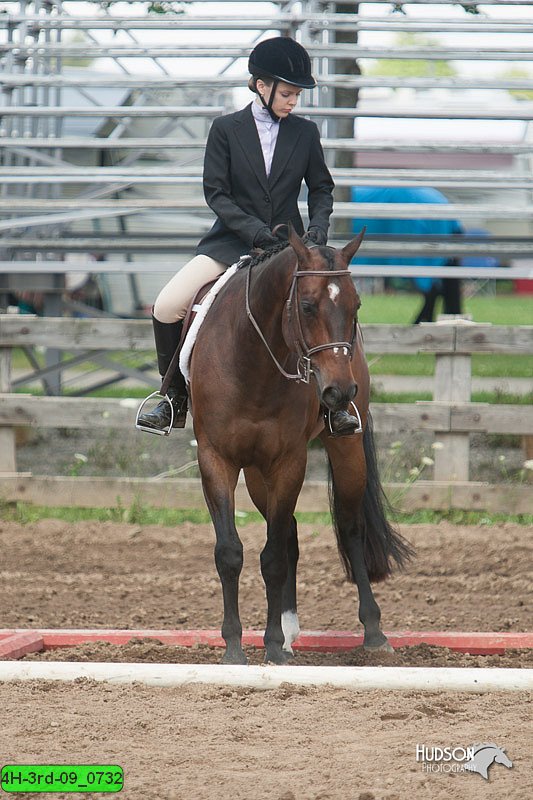 4H-3rd-09_0732.jpg