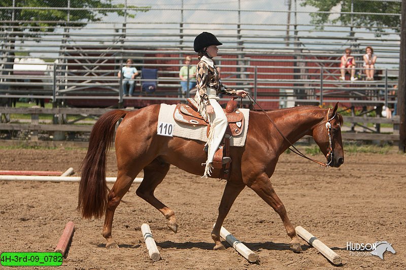4H-3rd-09_0782.jpg