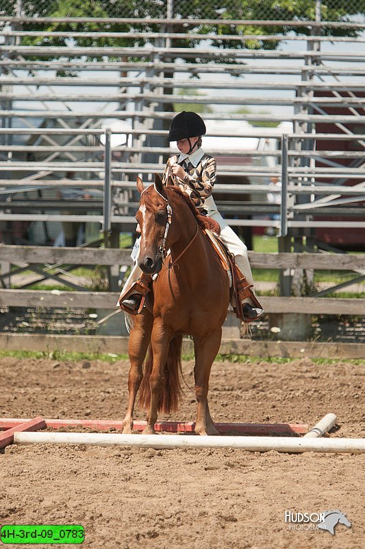 4H-3rd-09_0783.jpg