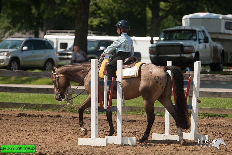 4H-3rd-09_0843.jpg