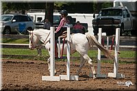 4H-3rd-09_0795.jpg