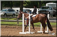 4H-3rd-09_0870.jpg