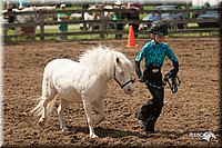 4H-3rd-09_0887.jpg