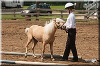 4H-3rd-09_0901.jpg