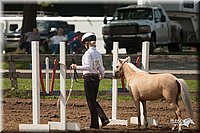 4H-3rd-09_0910.jpg