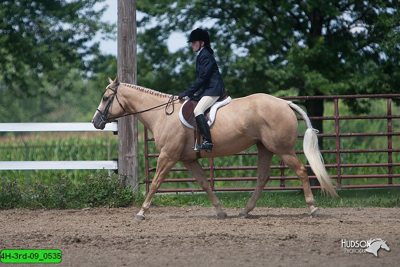 4H-3rd-09_0535.jpg