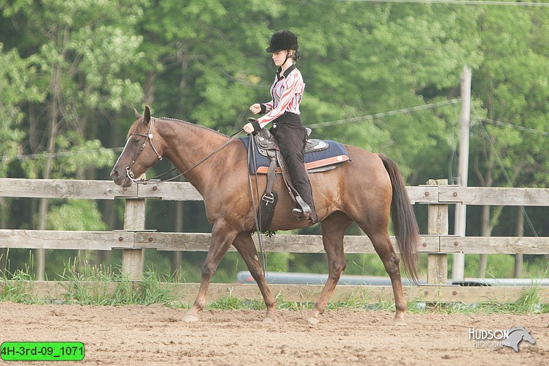 4H-3rd-09_1071.jpg