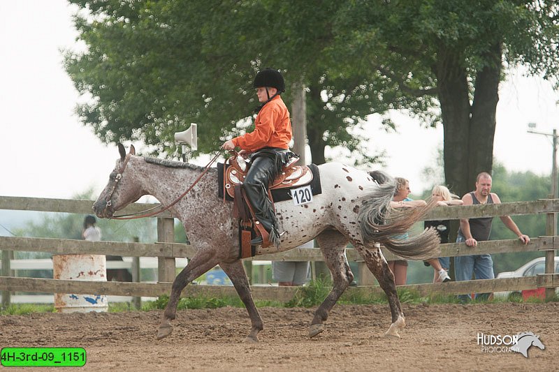 4H-3rd-09_1151.jpg