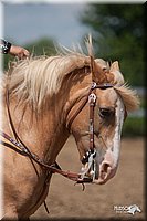 4H-3rd-09_0505.jpg