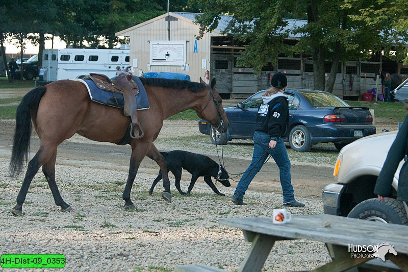 4H-Dist-09_0353.jpg