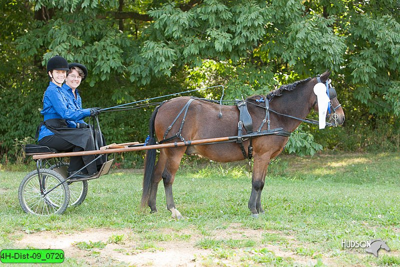 4H-Dist-09_0720.jpg
