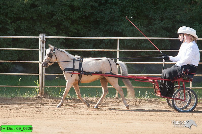 4H-Dist-09_0629.jpg