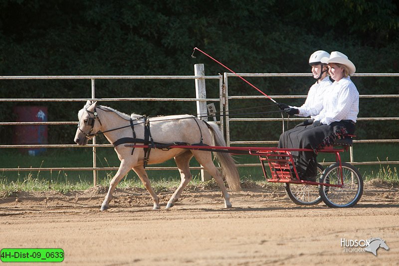 4H-Dist-09_0633.jpg