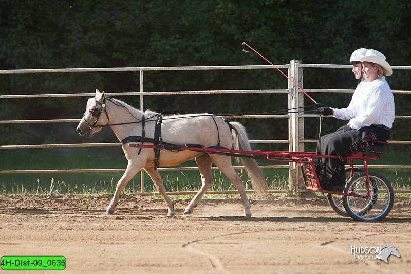 4H-Dist-09_0635.jpg