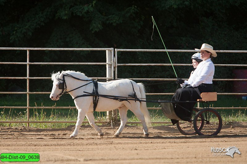 4H-Dist-09_0638.jpg