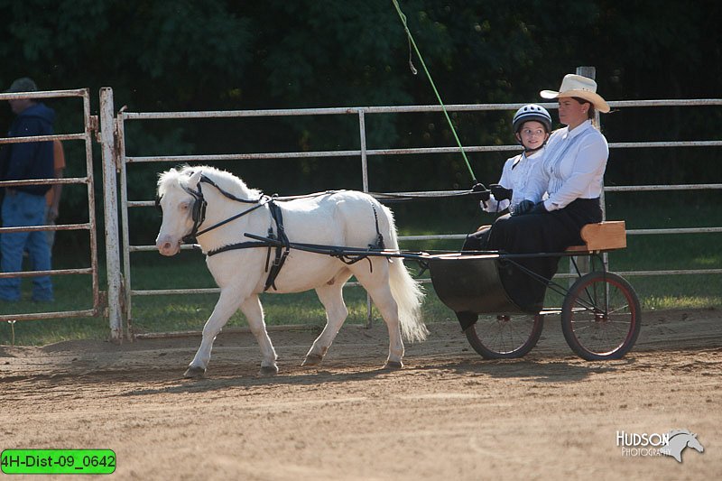 4H-Dist-09_0642.jpg