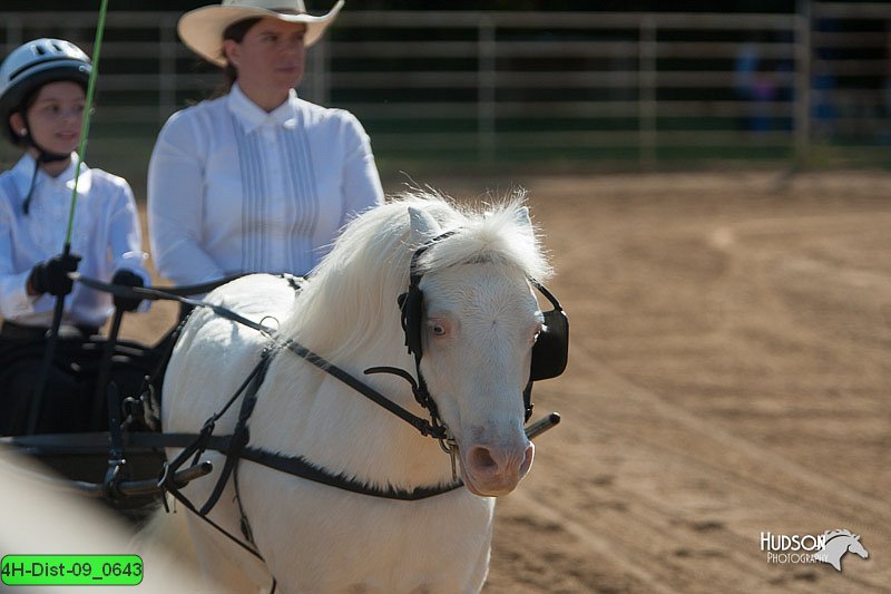 4H-Dist-09_0643.jpg