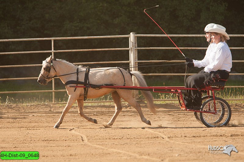 4H-Dist-09_0648.jpg
