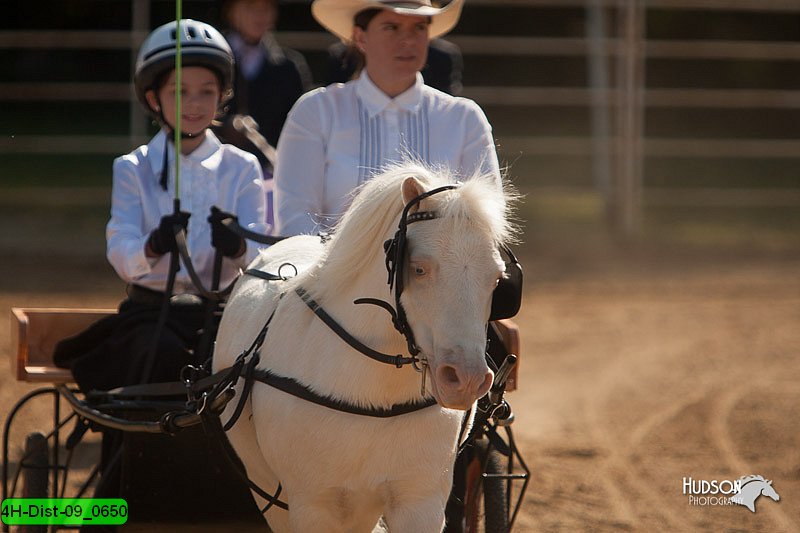 4H-Dist-09_0650.jpg