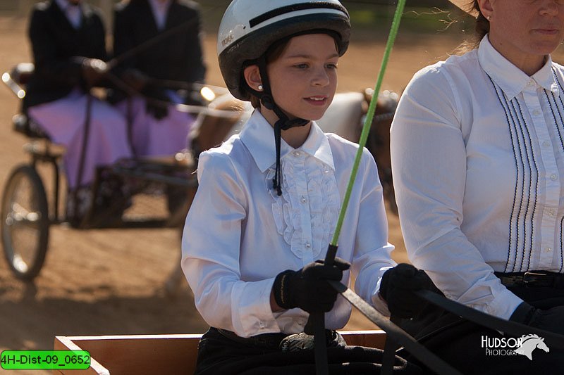 4H-Dist-09_0652.jpg