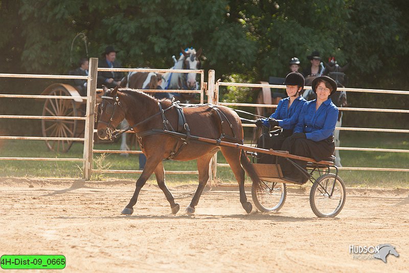 4H-Dist-09_0665.jpg
