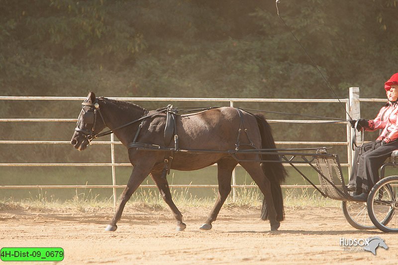 4H-Dist-09_0679.jpg