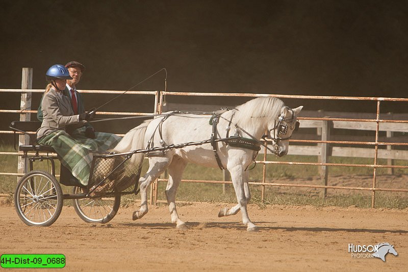 4H-Dist-09_0688.jpg