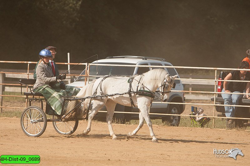 4H-Dist-09_0689.jpg