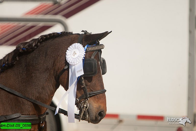 4H-Dist-09_0698.jpg
