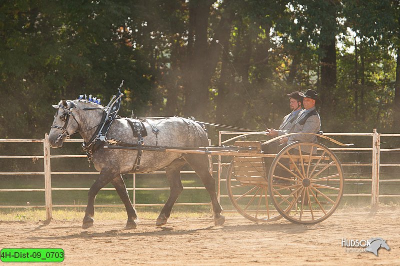 4H-Dist-09_0703.jpg