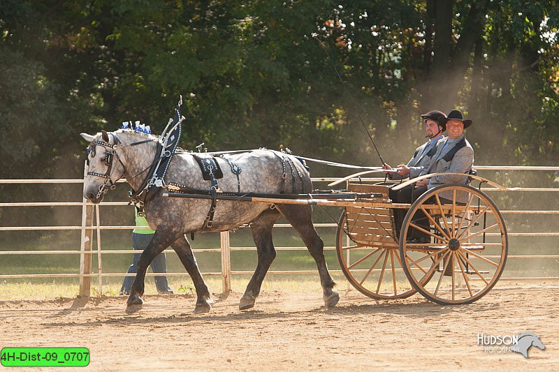 4H-Dist-09_0707.jpg