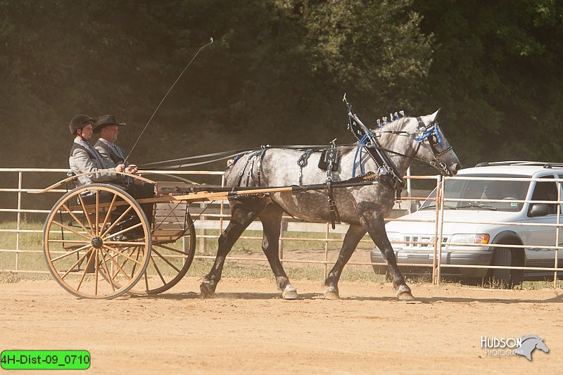 4H-Dist-09_0710.jpg