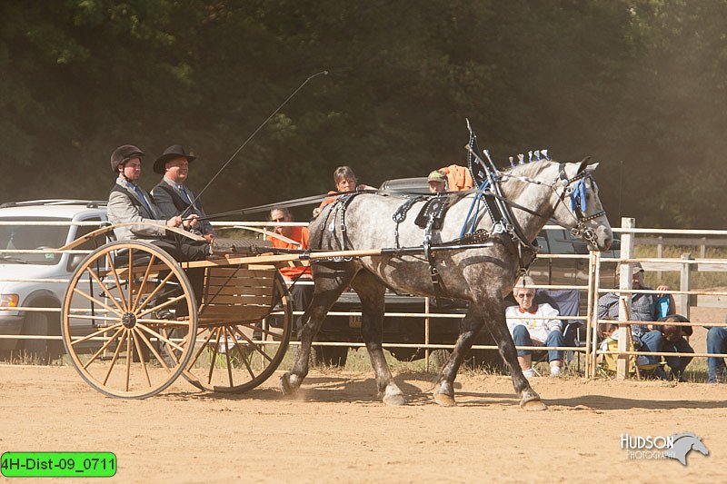 4H-Dist-09_0711.jpg